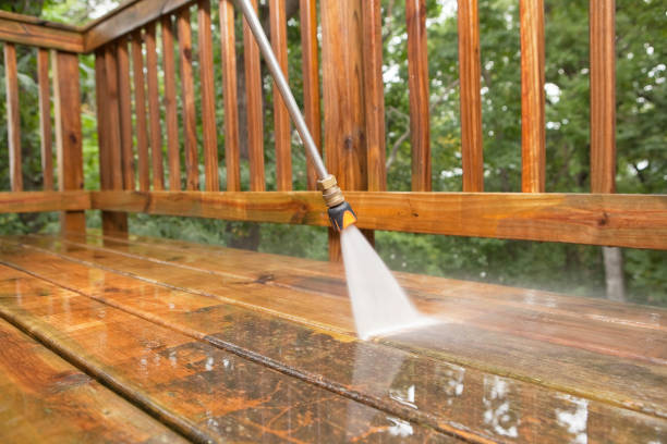 Animal Enclosure Cleaning in St Augustine South, FL